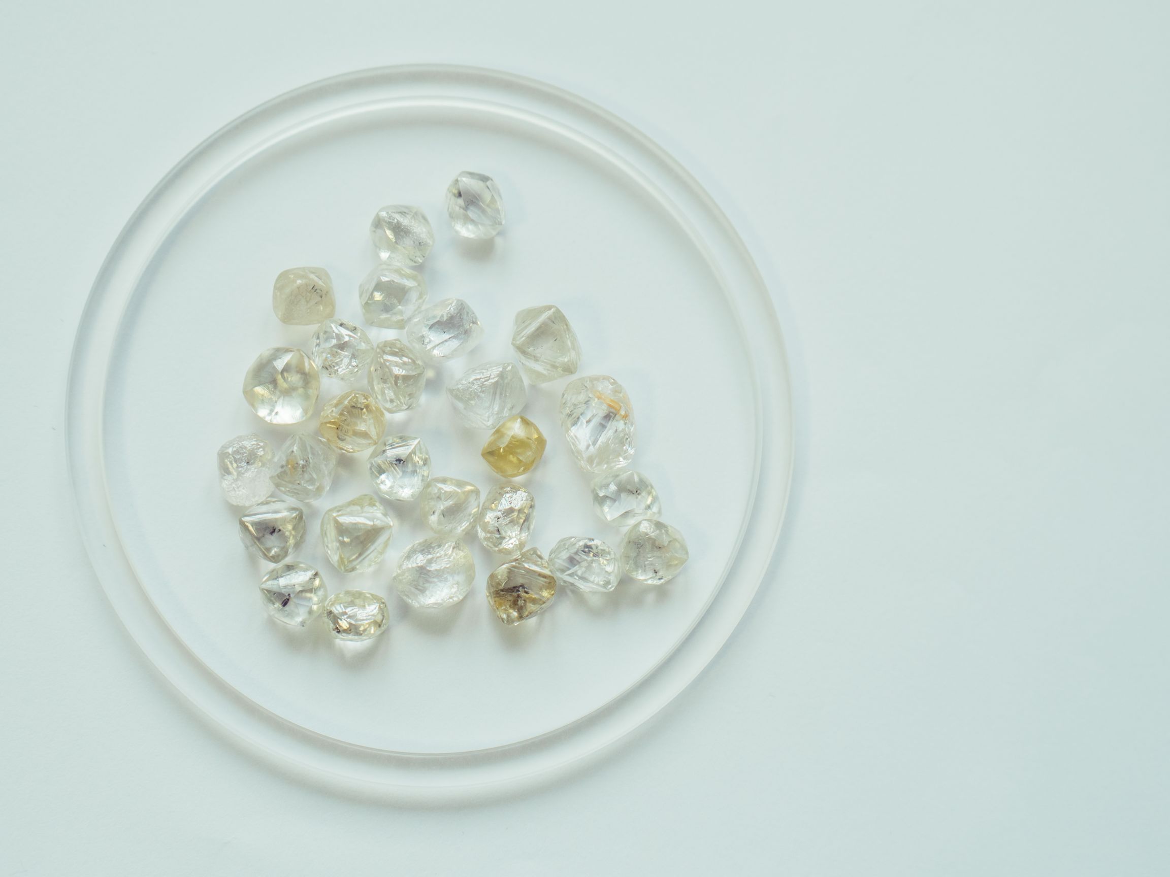 2.20of20diamonds Lucidity
